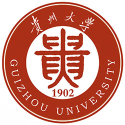 2024高考贵州大学在河南艺术类录取分数线