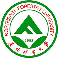 东北林业大学2025年在宁夏专业录取分数线