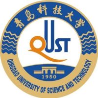 青岛科技大学2025中外合作办学分数线