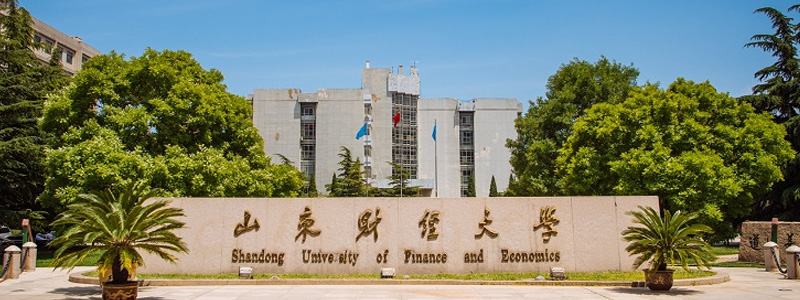 山东财经大学中外合作办学2025年在湖北省专业录取分数线