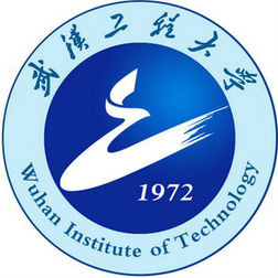 武汉工程大学2024年在内蒙古专业录取分数线