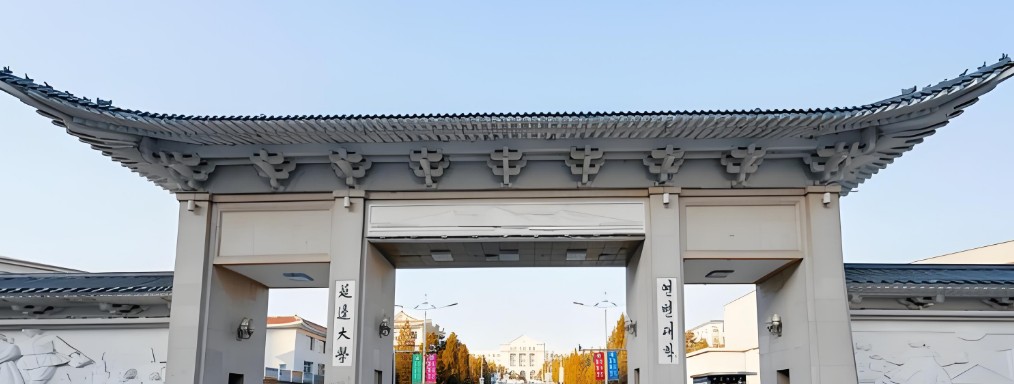 2025吉林多少分能考上延边大学艺术类？近3年录取线参考(2022-2024含各专业最低分)