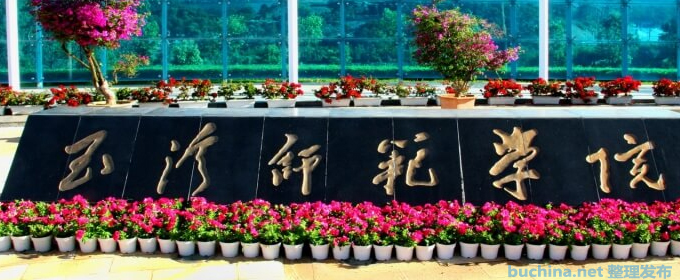 玉溪师范学院艺术体育类2024年四川专业录取分数线
