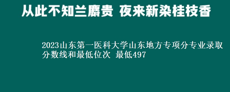 2023山东第一医科大学山东地方专项分专业录取分数线和最低位次 最低497