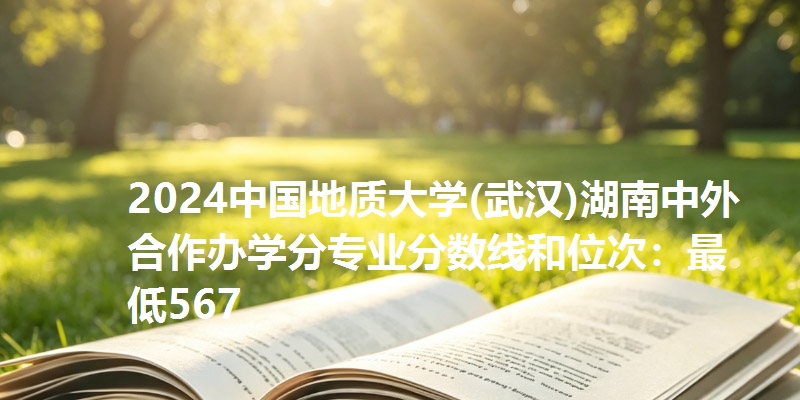 2024中国地质大学(武汉)湖南中外合作办学分专业分数线和位次：最低567