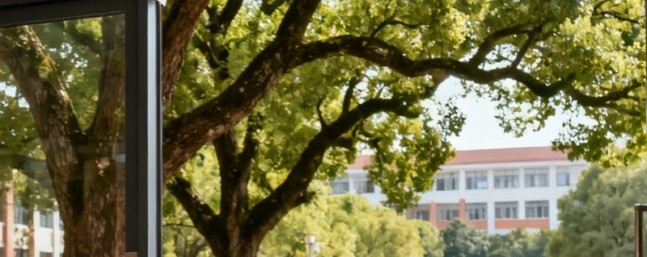 2024广西医科大学辽宁专业分数线：最低405分