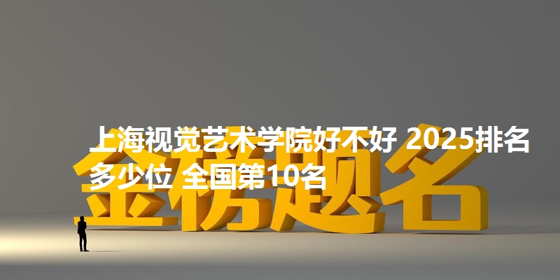 上海视觉艺术学院好不好 2025排名多少位 全国第10名