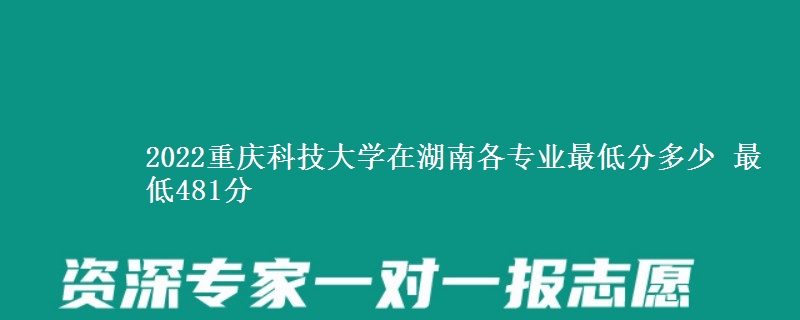 2022重庆科技大学在湖南各专业最低分多少 最低481分