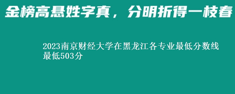 2023南京财经大学在黑龙江各专业最低分数线 最低503分