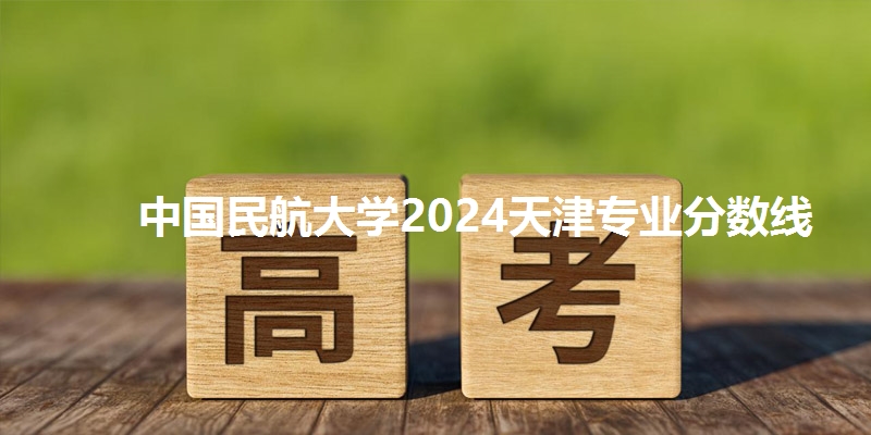 中国民航大学2024天津专业分数线