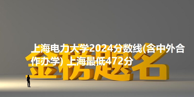上海电力大学2024分数线(含中外合作办学) 上海最低472分