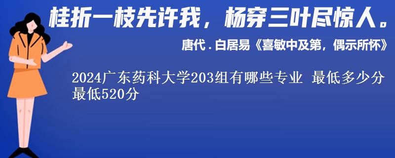 2024广东药科大学203组有哪些专业 最低多少分 最低520分