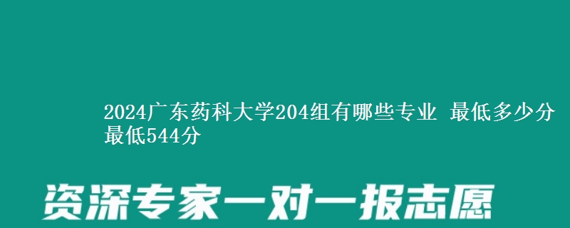 2024广东药科大学204组有哪些专业 最低多少分 最低544分