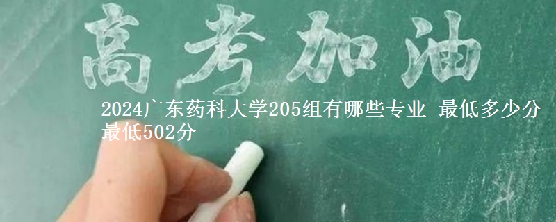 2024广东药科大学205组有哪些专业 最低多少分 最低502分