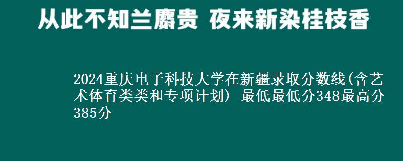 2024重庆电子科技大学在新疆录取分数线(含艺术体育类类和专项计划) 最低最低分348最高分385分