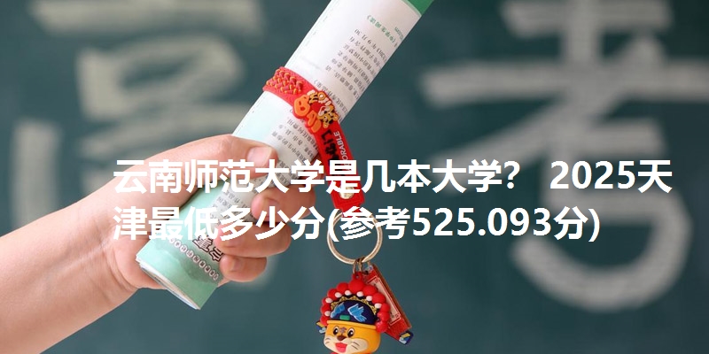 云南师范大学是几本大学？ 2025天津最低多少分(参考525.093分)