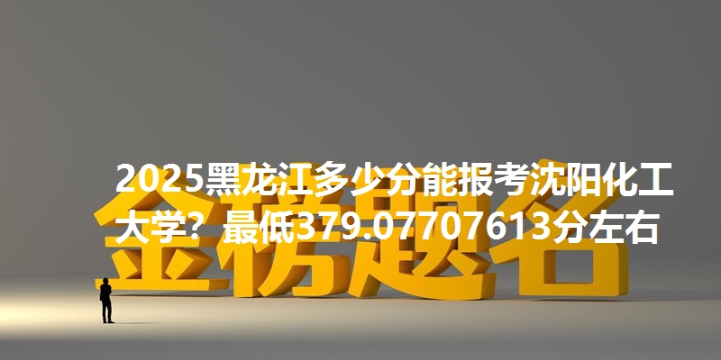 2025黑龙江多少分能报考沈阳化工大学？最低379.07707613分左右