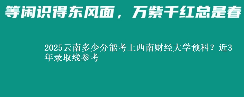 2025云南多少分能考上西南财经大学预科？近3年录取线参考