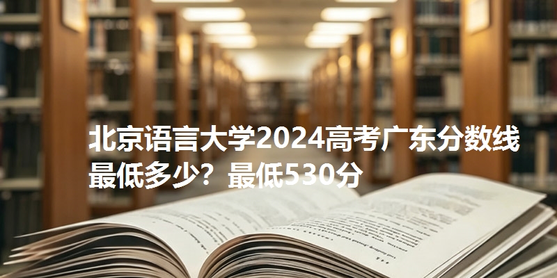 北京语言大学2024高考广东分数线最低多少?最低530分