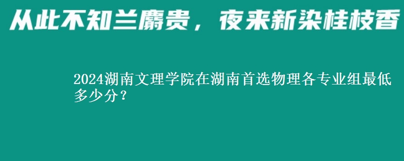 2024湖南文理学院在湖南物理组各专业组最低多少分？