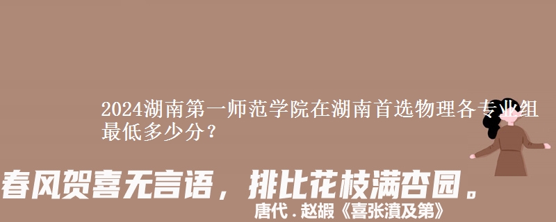 2024湖南第一师范学院在湖南物理组各专业组最低多少分？
