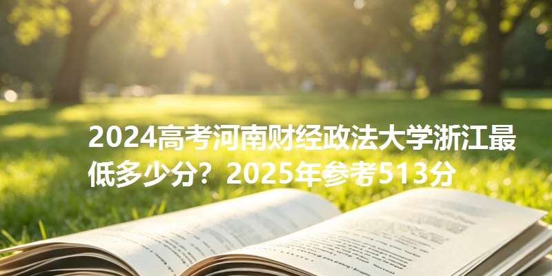 2024高考河南财经政法大学浙江最低多少分？2025年参考513分