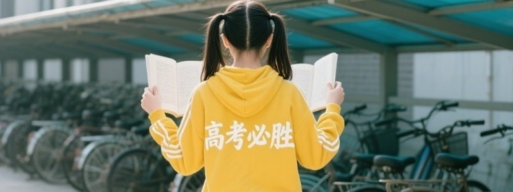 2024东北电力大学在河北体育类分数线最低多少？最低584分