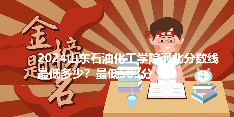 2024山东石油化工学院河北分数线最低多少？最低503分