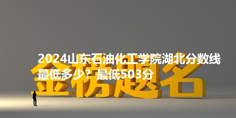 2024山东石油化工学院湖北分数线最低多少？最低503分