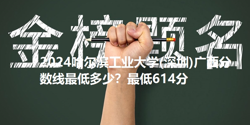 2024哈尔滨工业大学(深圳)广西分数线最低多少？最低614分