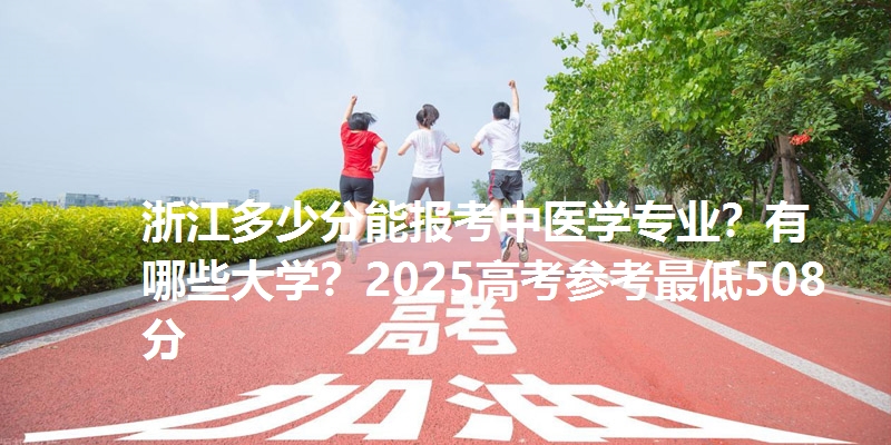 浙江多少分能报考中医学专业？有哪些大学？2025高考参考最低508分
