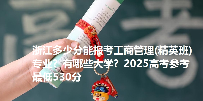 浙江多少分能报考工商管理(精英班)专业？有哪些大学？2025高考参考最低530分
