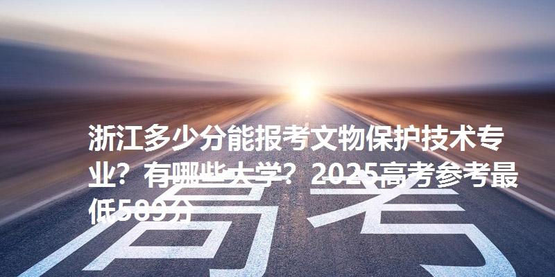浙江多少分能报考文物保护技术专业？有哪些大学？2025高考参考最低589分