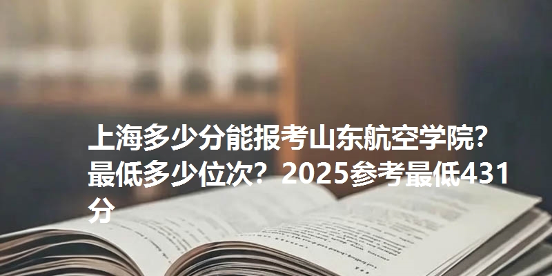 上海多少分能报考山东航空学院？最低多少位次？2025参考最低431分