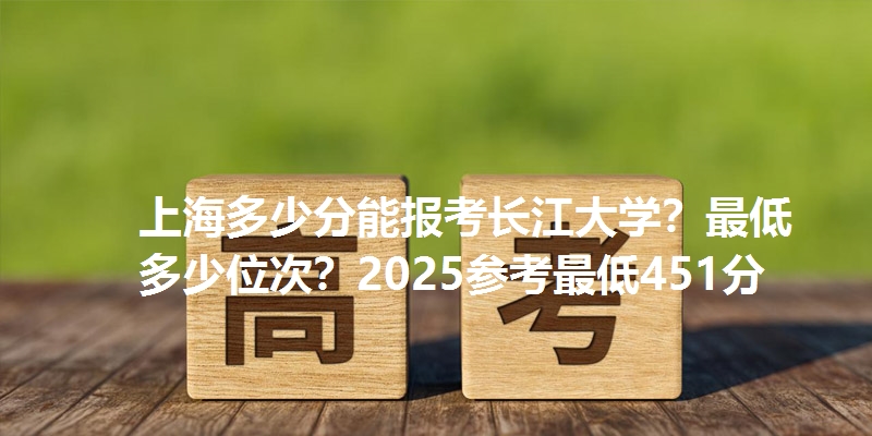 上海多少分能报考长江大学？最低多少位次？2025参考最低451分