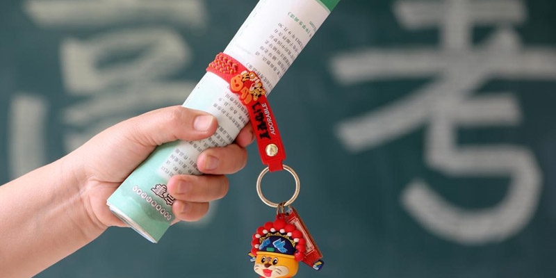 上海多少分能报考南京工业大学？最低多少位次？2025参考最低486分