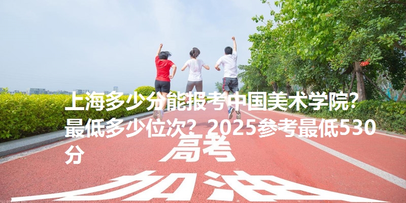 上海多少分能报考中国美术学院？最低多少位次？2025参考最低530分