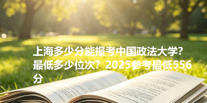 上海多少分能报考中国政法大学？最低多少位次？2025参考最低556分
