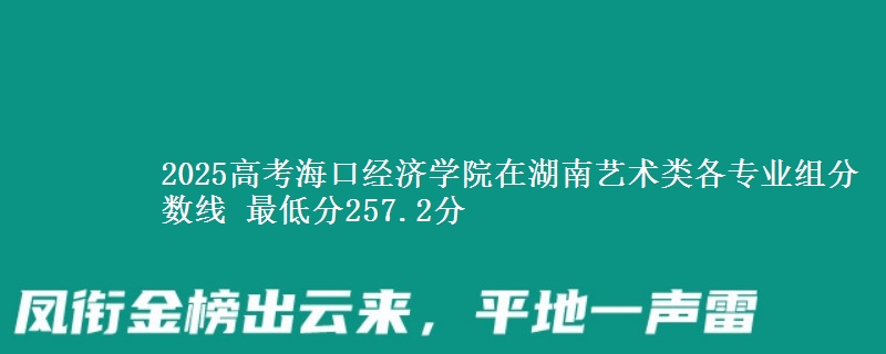 2025高考海口经济学院在湖南艺术类各专业组分数线 最低分257.2分