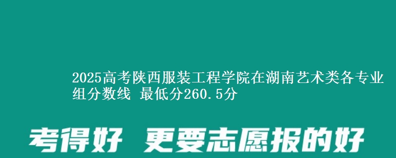 2025高考陕西服装工程学院在湖南艺术类各专业组分数线 最低分260.5分
