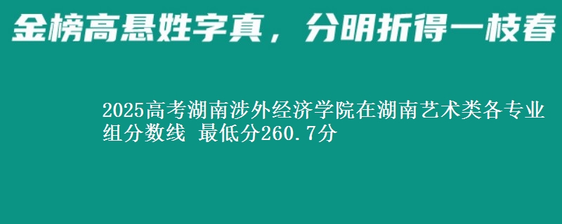 2025高考湖南涉外经济学院在湖南艺术类各专业组分数线 最低分260.7分