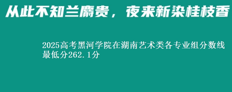 2025高考黑河学院在湖南艺术类各专业组分数线 最低分262.1分