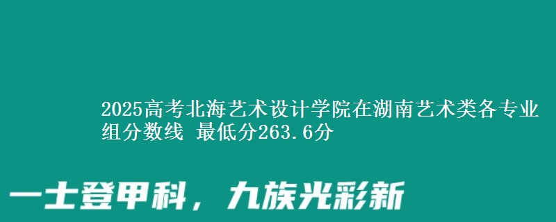 2025高考北海艺术设计学院在湖南艺术类各专业组分数线 最低分263.6分
