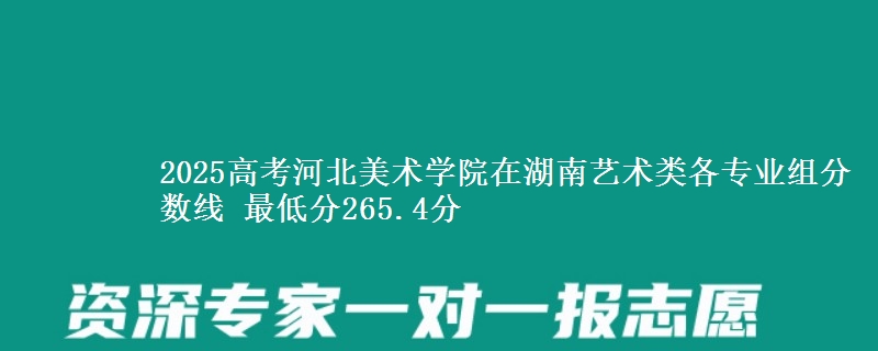 2025高考河北美术学院在湖南艺术类各专业组分数线 最低分265.4分
