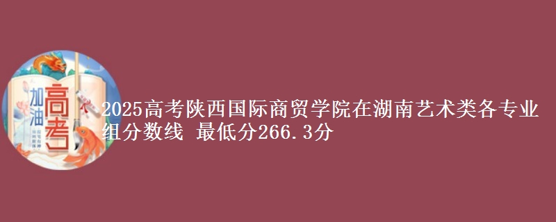 2025高考陕西国际商贸学院在湖南艺术类各专业组分数线 最低分266.3分