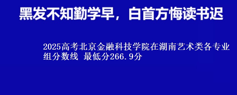 2025高考北京金融科技学院在湖南艺术类各专业组分数线 最低分266.9分