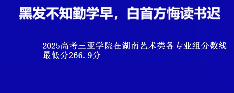 2025高考三亚学院在湖南艺术类各专业组分数线 最低分266.9分
