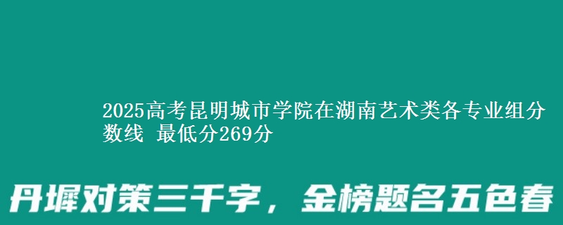 2025高考昆明城市学院在湖南艺术类各专业组分数线 最低分269分