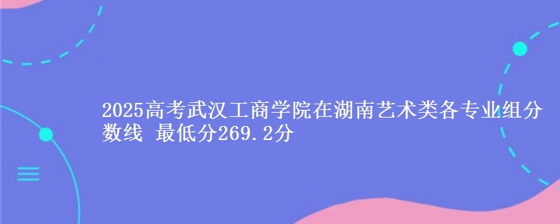 2025高考武汉工商学院在湖南艺术类各专业组分数线 最低分269.2分