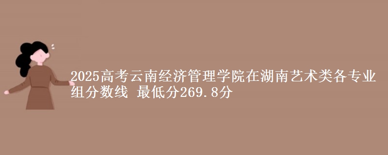 2025高考云南经济管理学院在湖南艺术类各专业组分数线 最低分269.8分